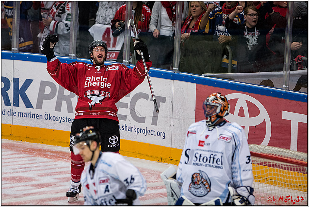 Koelner Haie - Straubing Tigers, 03.10.2016